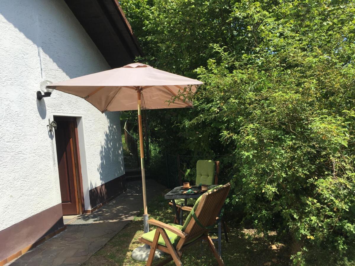 Burgruine Schoellnstein Iggensbach Eksteriør billede