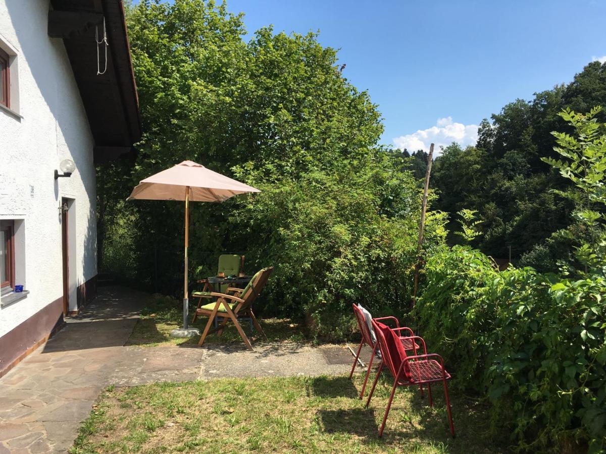 Burgruine Schoellnstein Iggensbach Eksteriør billede